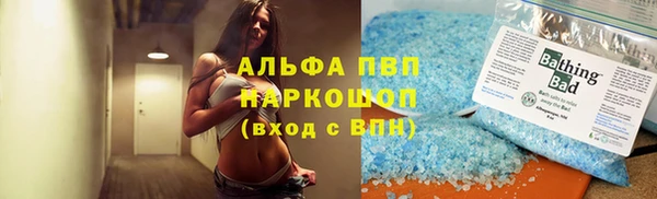 индика Алексеевка
