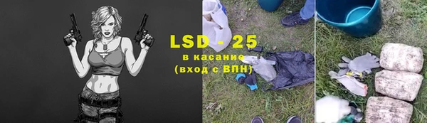 индика Алексеевка