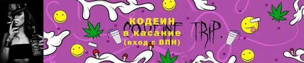 apvp Алексин