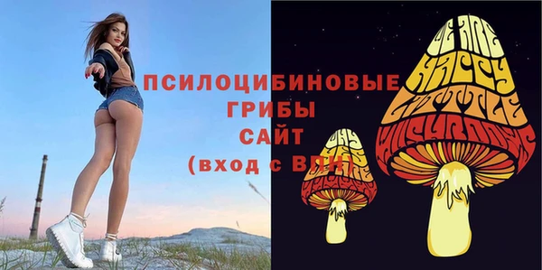 кокаин премиум Алзамай